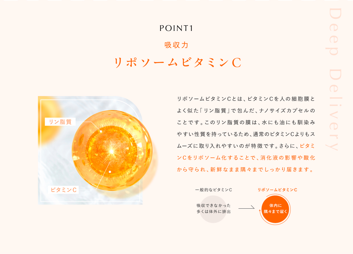 POINT1 吸収力 リポソームビタミンC