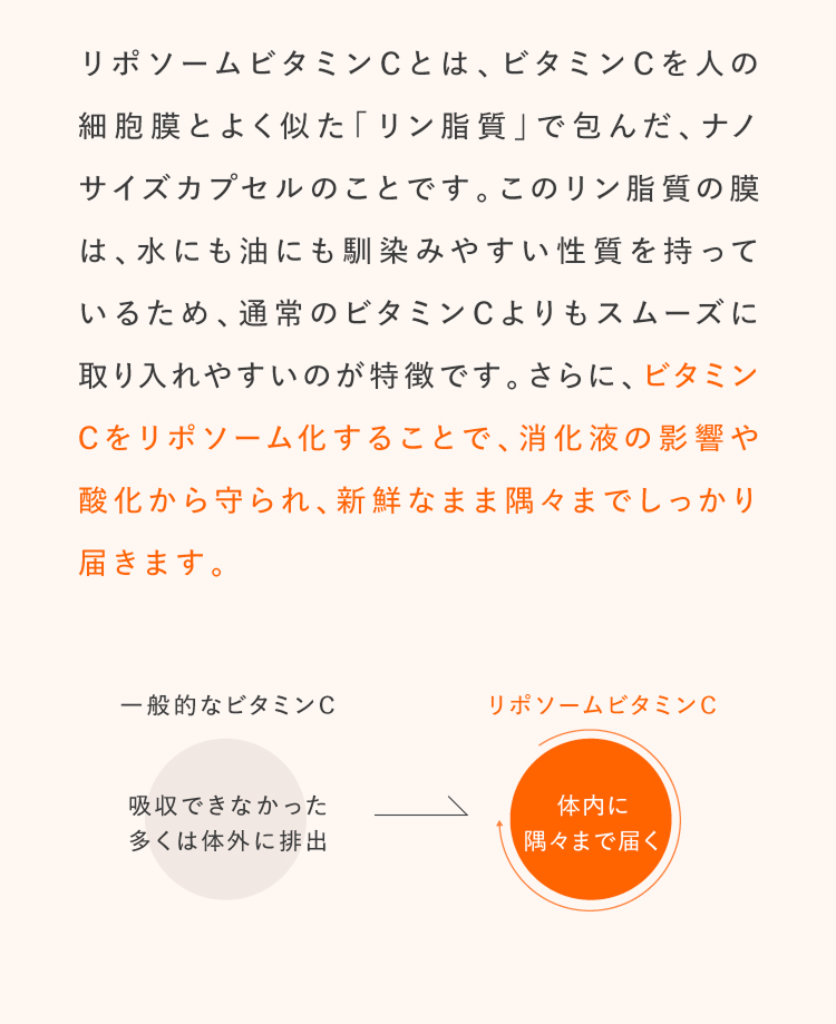 リポソームビタミンCの説明