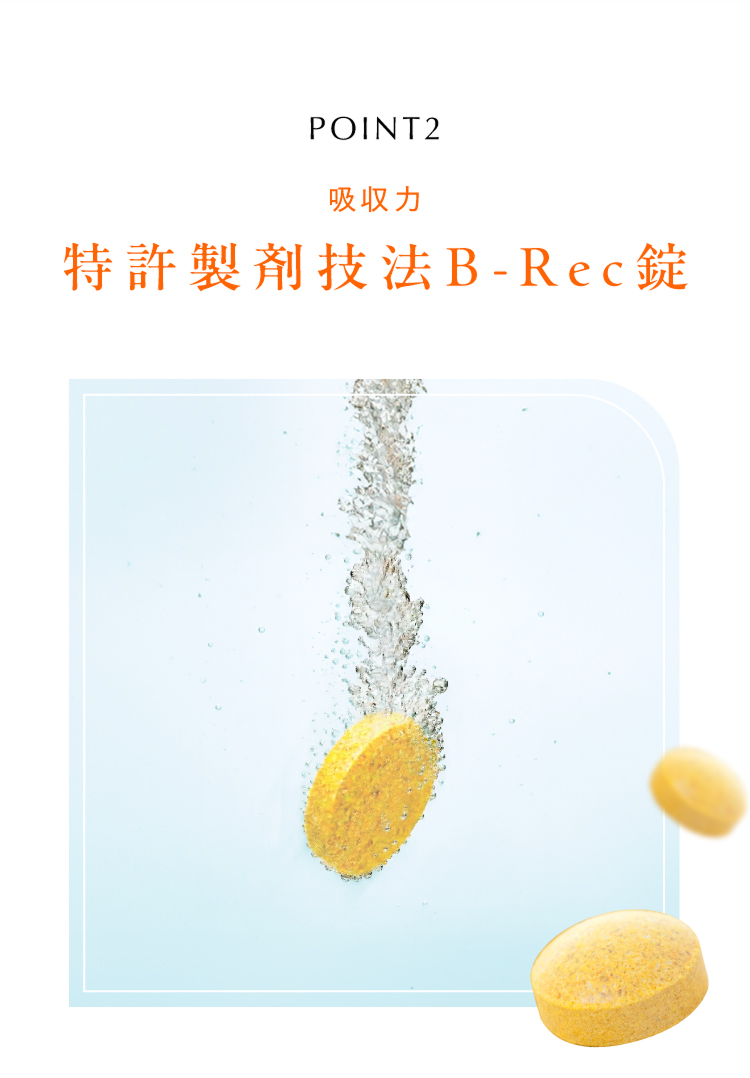 POINT2 吸収力 特許製剤技法B-ReC錠