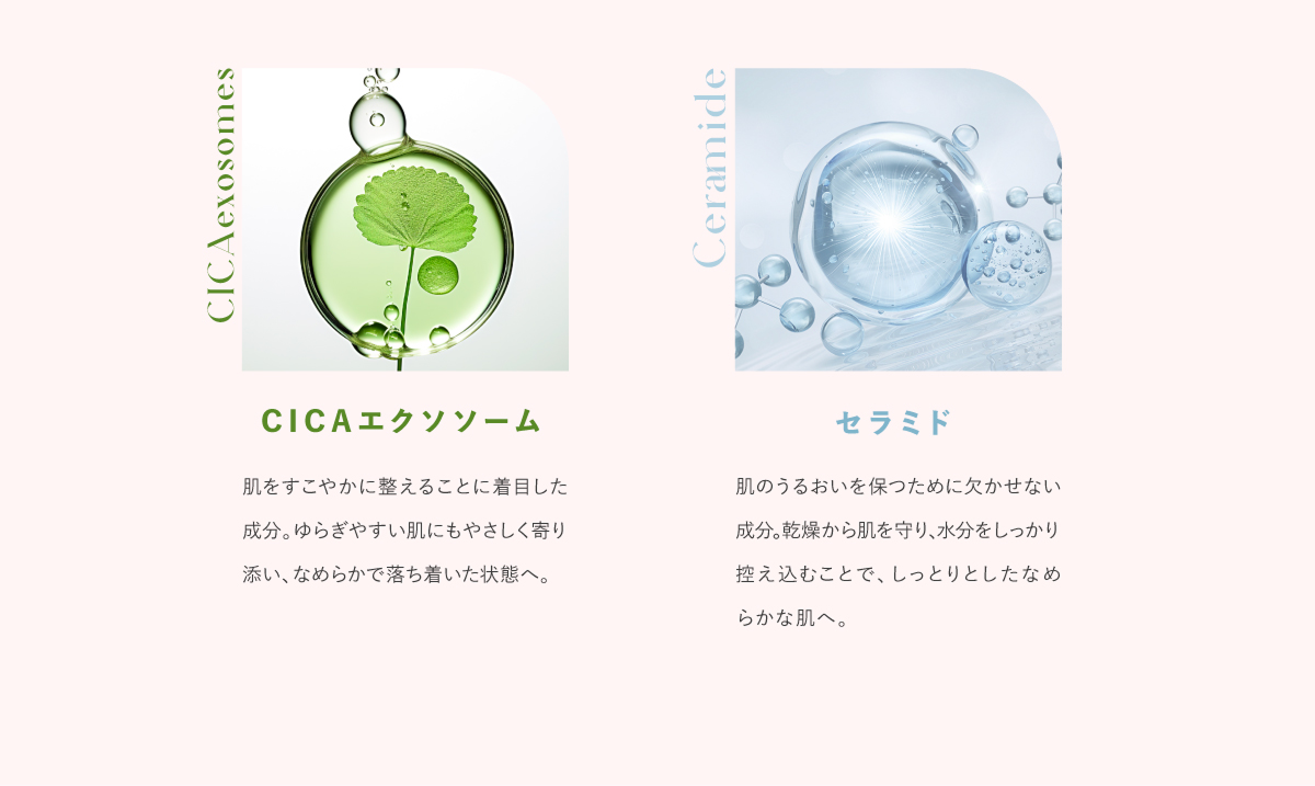 CICAエクソソーム、セラミド
