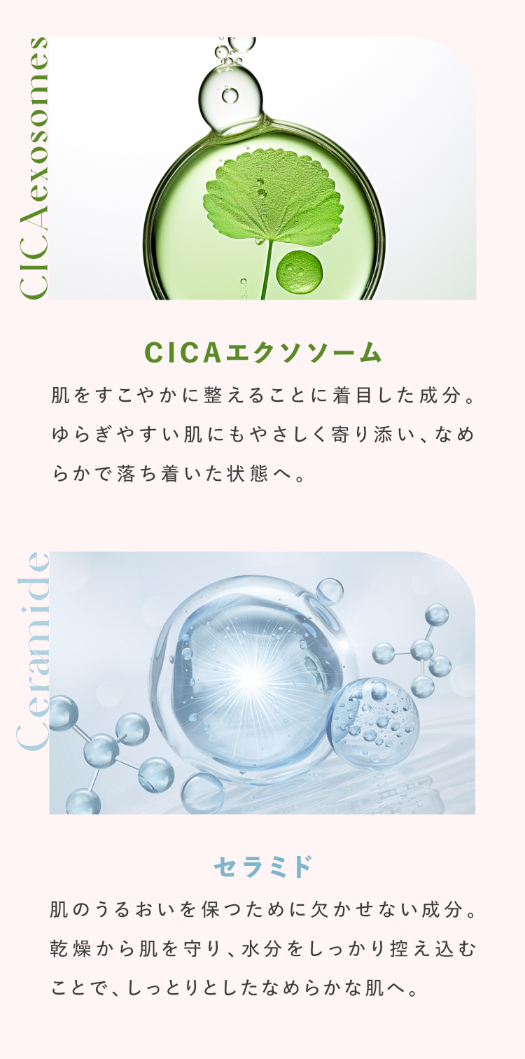 CICAエクソソーム、セラミド